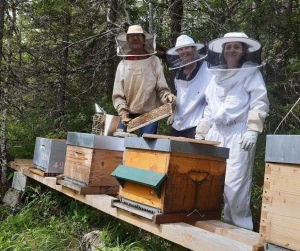 Saint-Pal-de-Chalencon : conférence "Du pollen au miel…" le 3 mai suivie de dégustation