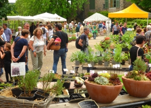 La Fête des Plantes s'annonce début juin au château de Chavaniac-Lafayette