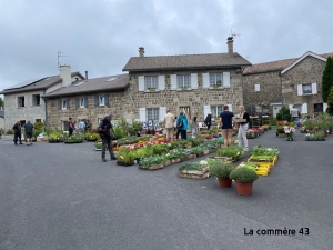 Chenereilles : un marché aux fleurs et plants de légumes attendu dimanche sur la place du village