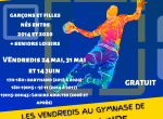 Handball à Lavoûte sur Loire, portes ouvertes les 24, 31 mai et 14 juin