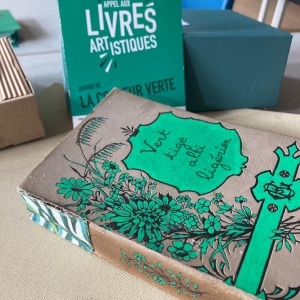 Livres artistiques : un appel à la créativité autour de la couleur verte à Yssingeaux