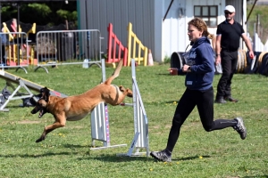 Monistrol-sur-Loire : 70 chiens ont concouru sur le parcours d&#039;agility