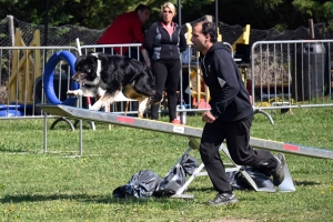 Monistrol-sur-Loire : 70 chiens ont concouru sur le parcours d&#039;agility