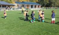 Le Chambon-sur-Lignon : 14 enfants pour la première séance de baby-football
