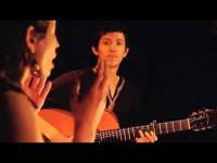 Un concert de flamenco traditionnel mêlant guitare, chant, percussions corporelles.||