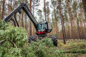 Quatre jours de formation proposés pour les propriétaires forestiers