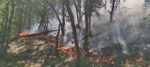 Vorey-sur-Arzon : un feu de végétation démarre à la cime d&#039;un suc
