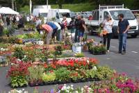 Le Chambon-sur-Lignon : un agréable marché aux plantes ce dimanche