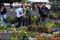 Le Chambon-sur-Lignon : un agréable marché aux plantes ce dimanche