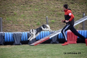Yssingeaux : premier concours d&#039;agility dimanche sur le nouveau terrain du club canin