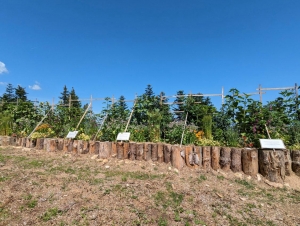 Lalouvesc : la nouvelle butte en permaculture du Mont Besset à découvrir lundi
