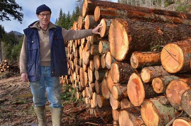 Joseph Guibert, propriétaire à Saint-Jeures, a vendu 2000 stères de bois cet hiver.|La Haute-Loire est boisé sur 40 % de son territoire.|L&#039;hiver doux a permis aux forestiers de pouvoir travailler.||