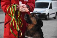 Saint-Agrève : un exercice de recherches entre la protection civile et Mars chien
