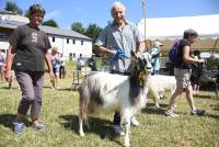 Saint-Front : la chèvre du massif central au centre de toutes les attentions