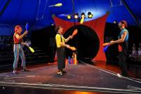 Sainte-Sigolène : du cirque et des clowns en spectacle gratuit le 22 décembre