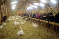 Saint-Jeure-d&#039;Andaure : 80 convives ont dîné... au milieu des chèvres