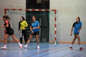 Handball : l&#039;entente Sucs et Velay à la recherche de repères