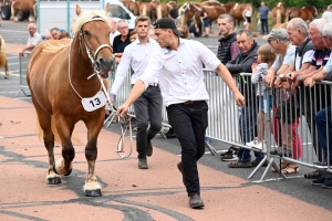 Yssingeaux : 51 juments au premier concours de l&#039;été de chevaux lourds