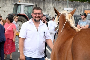 Yssingeaux : 51 juments au premier concours de l&#039;été de chevaux lourds