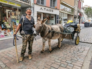 Le Puy-en-Velay : un âne dans la ville