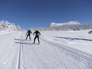 Les Estables : ski de fond et raquettes en accès libre ce week-end