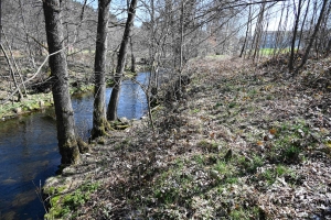 Deux pistes étudiées à Dunières et Riotord pour créer un espace de baignade