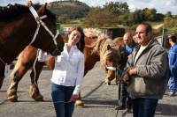 Yssingeaux : un concours de chevaux lourds réservé aux mâles