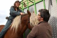 Yssingeaux : un concours de chevaux lourds réservé aux mâles
