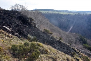 Feux de végétation : 2 hectares détruits à Saint-Front, 4 hectares à Torsiac