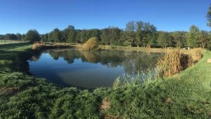 La vidange de l&#039;étang d&#039;Antonianes a commencé à Monistrol-sur-Loire