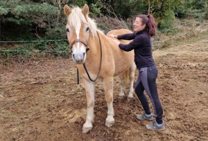 Saint-Pal-de-Chalencon : Anne-Lise Rico pratique le shiatsu pour les humains... et les chevaux