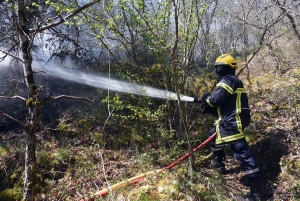 Tiranges : un feu de forêt violent détruit déjà 10 hectares