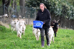 Grazac : elle loue son troupeau de chèvres pour de l&#039;éco-pâturage