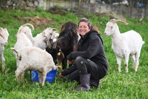 Grazac : elle loue son troupeau de chèvres pour de l&#039;éco-pâturage