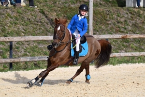Equitation : un record de cavaliers au CSO d&#039;Yssingeaux
