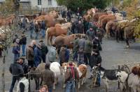 Fay-sur-Lignon : vendredi, les chevaux seront au centre de toute les attentions