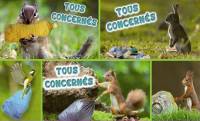 Monistrol-sur-Loire : une communication décalée et humoristique pour le nettoyage de printemps