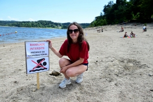 Les cyanobactéries sont trop élevées : la baignade interdite à Lavalette