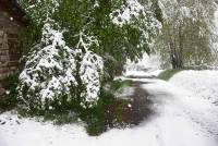 Un dimanche 13 mai sous la neige en Haute-Loire et Ardèche