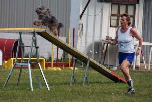 Monistrol-sur-Loire : 80 chiens ont participé au concours d&#039;agility