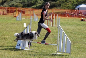 Monistrol-sur-Loire : 80 chiens ont participé au concours d&#039;agility