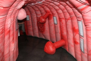 Un colon géant à découvrir samedi dans la galerie commerciale de Vals-près-Le Puy