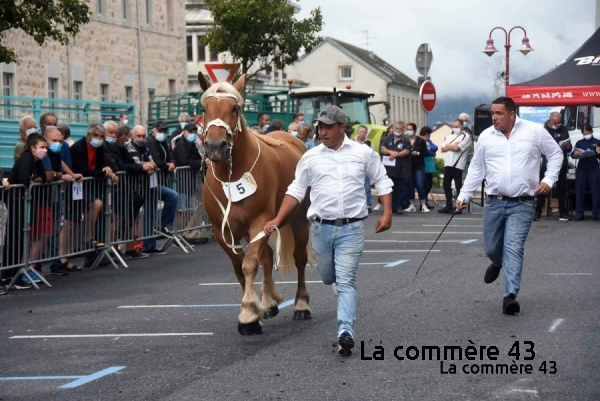 |Jacques Issartel a démissionné de son poste de président du Syndicat des chevaux lourds|||