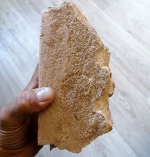 Une tablette babylonienne chinée sur un vide-greniers