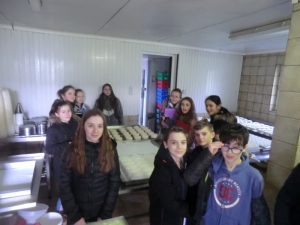 Tence : des collégiens visitent la bergerie de Jean-Régis Charreyre