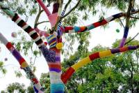 Venez habiller les arbres de tricots mercredi après-midi sur la place de la Victoire