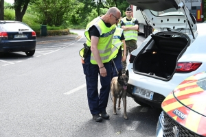 Une opération anti-délinquance d'envergure menée jeudi en Haute-Loire