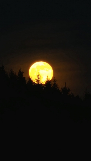 L&#039;image du jour : la dernière pleine Lune de l&#039;année