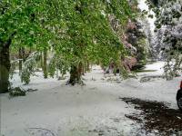 Saint-André-en-Vivarais : la neige cause des dégâts dans le parc du château de Montivert