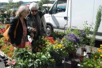 &quot;Esprit jardin&quot; un marché aux plantes au Chambon-sur-Lignon ce dimanche